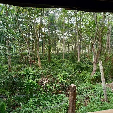 Siddhartha Wildlife Retreat Hotel Meghauli Ngoại thất bức ảnh