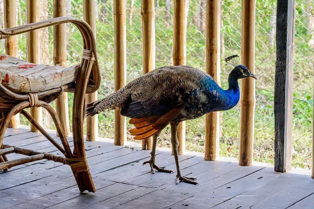 Siddhartha Wildlife Retreat Hotel Meghauli Ngoại thất bức ảnh