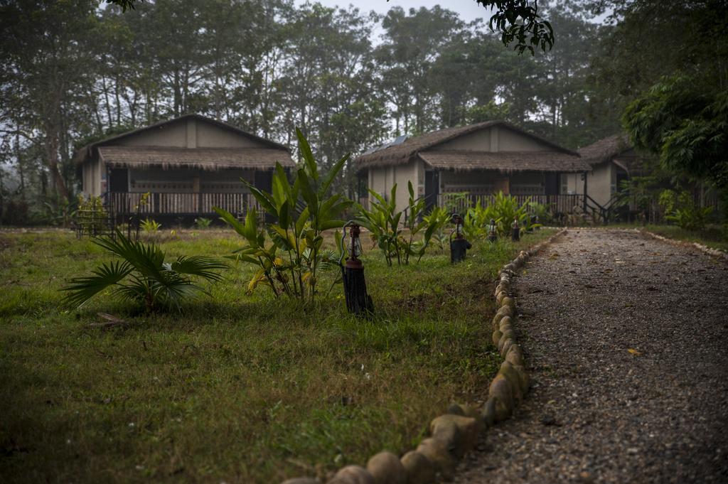 Siddhartha Wildlife Retreat Hotel Meghauli Ngoại thất bức ảnh